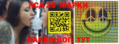 шишки Абакан