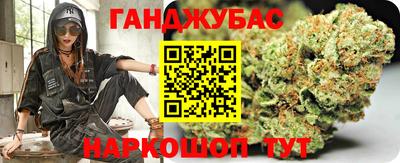 шишки Абакан