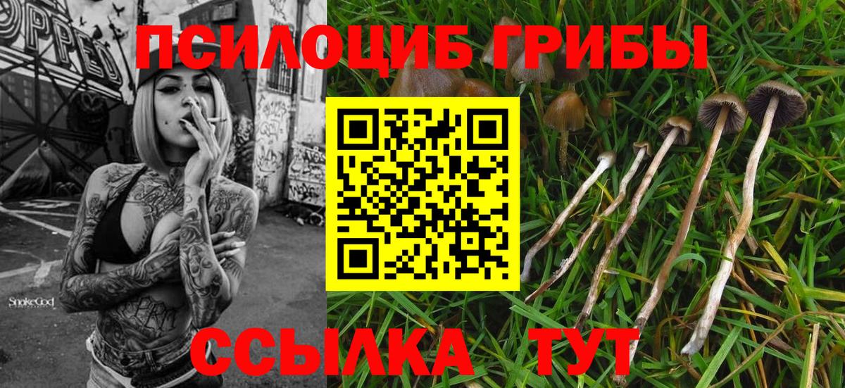 Алушта  Галлюциногенные грибы Magic Shrooms  Вход с VPN 