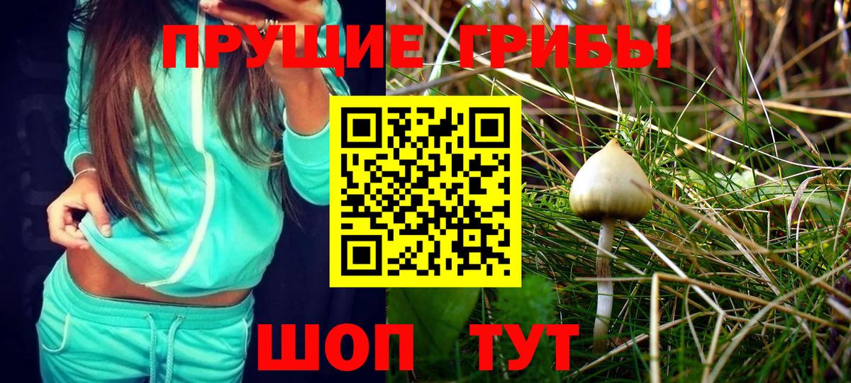Псилоцибиновые грибы Magic Shrooms Алушта
